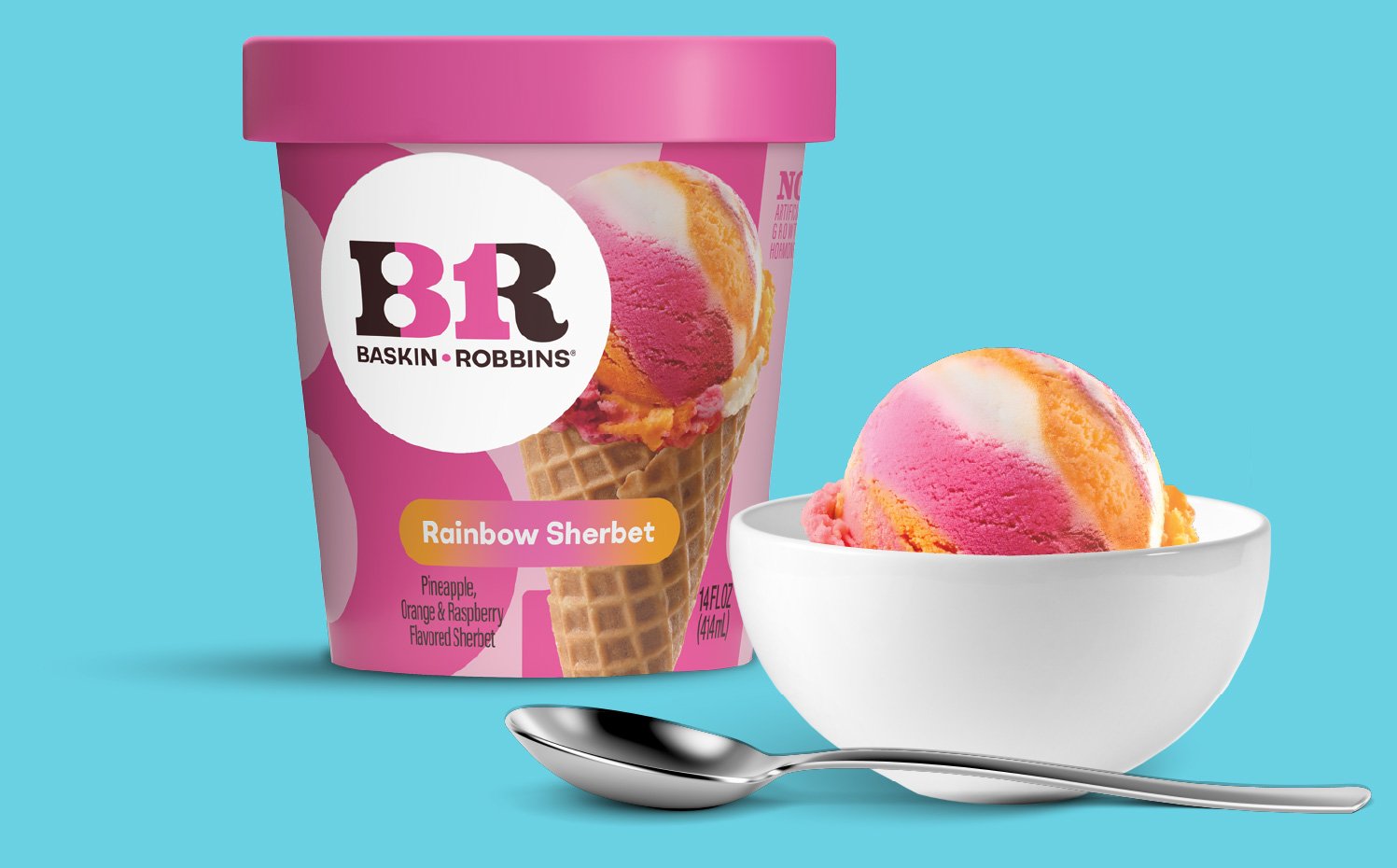 Flavor Page Rainbow Sherbet — BaskinRobbinsatHome